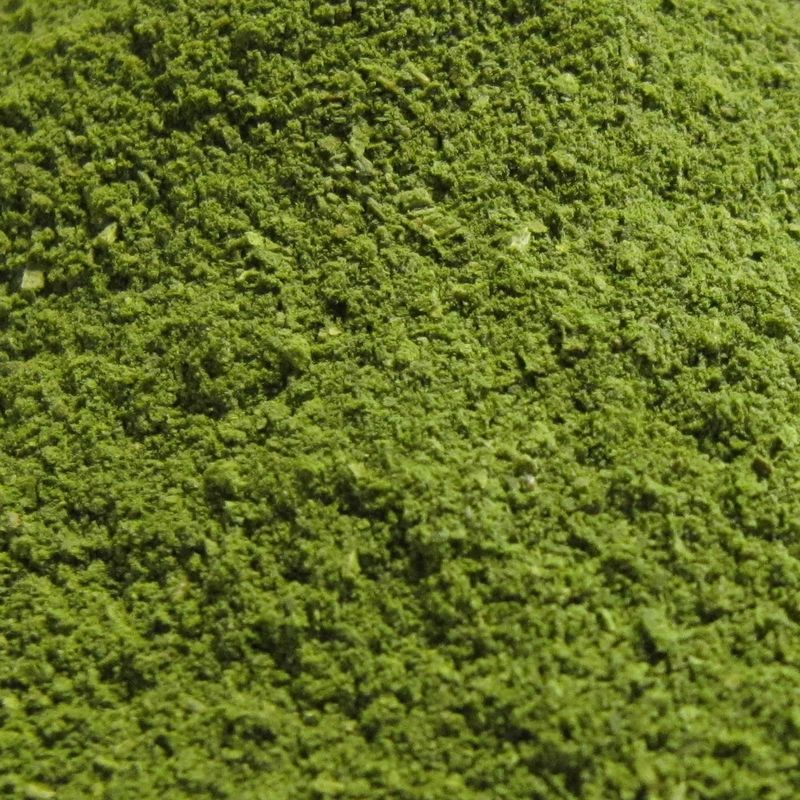 Moringa Oleifera poeder