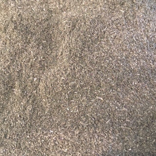 Echinacea Purpurea Kruid of Rode Zonnehoed Gemalen