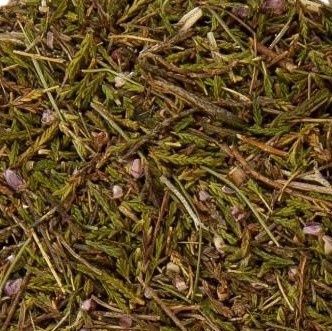 Heidekruid of Struikheide