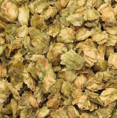 Hopbel