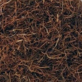 Maisbaard of Maisstempels