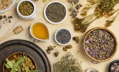 De wereld van kruidengeneeskunde