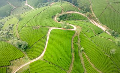 De verschillende Japanse theestreken