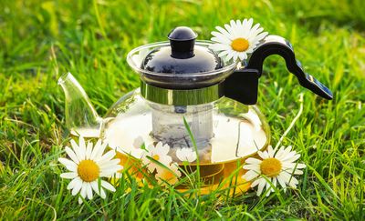 Waarom thee drinken met warm weer?