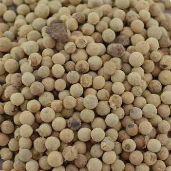 Peperkorrels wit muntok, Maat: 100 gram