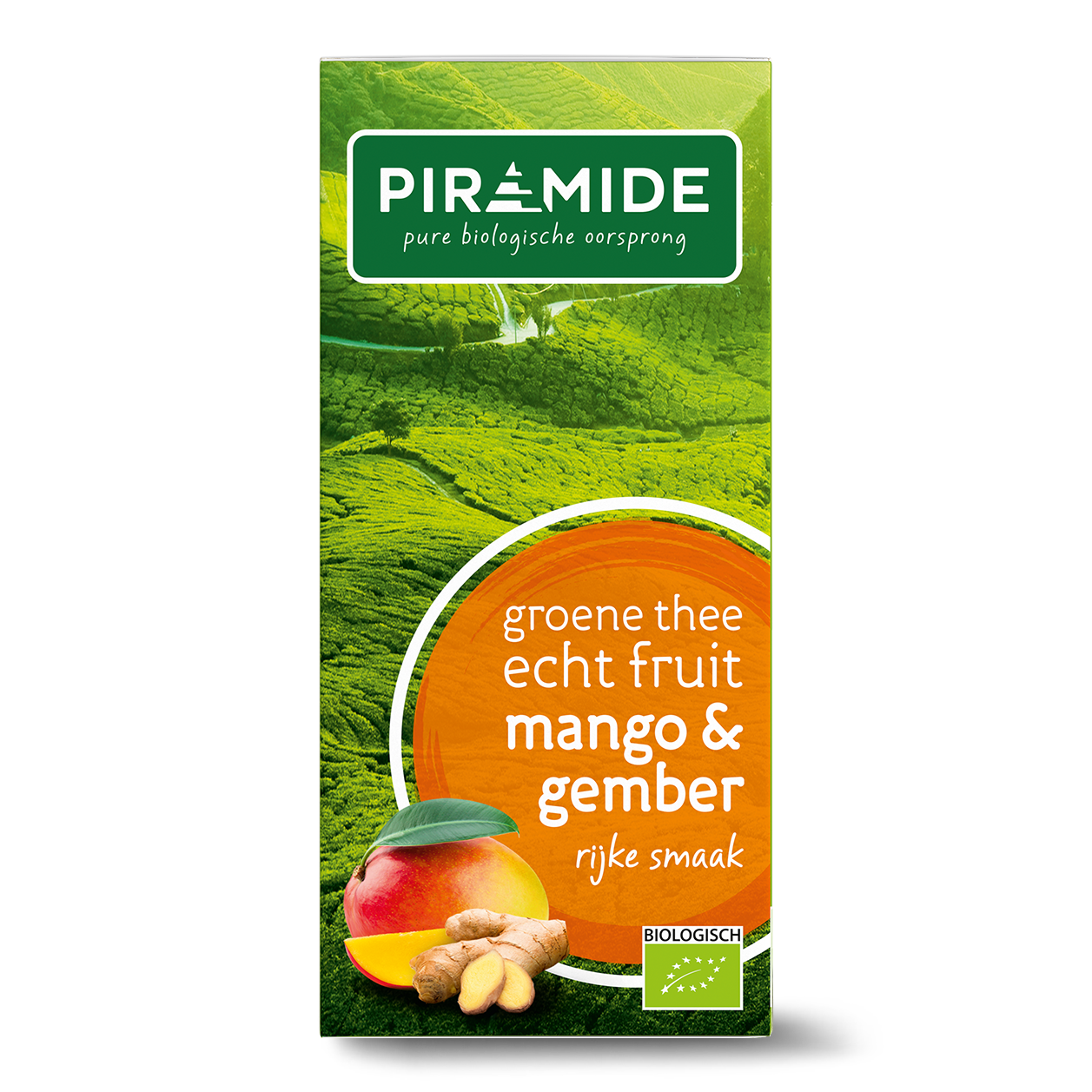 Piramide Mango, Gember, Maat: Sachets