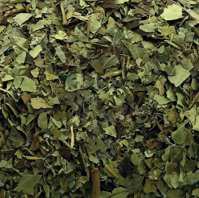 Klimop, Maat: Standaard