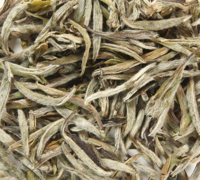 Silver Needle Yin Zhen Witte Thee, Maat: 100 gram