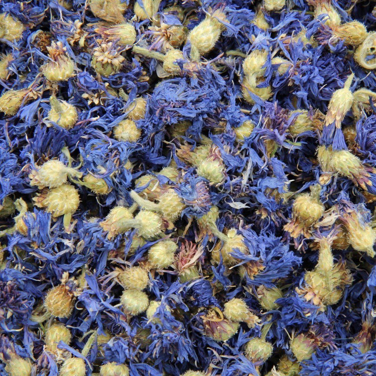 Korenbloemen, Maat: 50 gram
