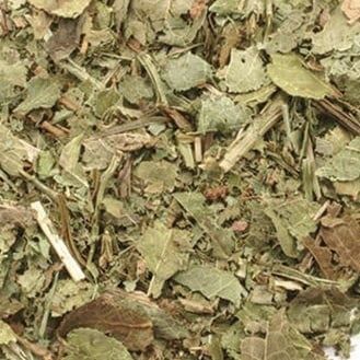 Bosbessenblad, Maat: Standaard