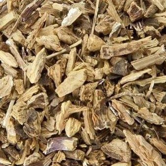 Echinacea Purpuraea wortel, Maat: Standaard