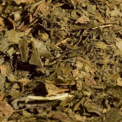 Hamamelisblad of Toverhazelaar, Maat: Standaard