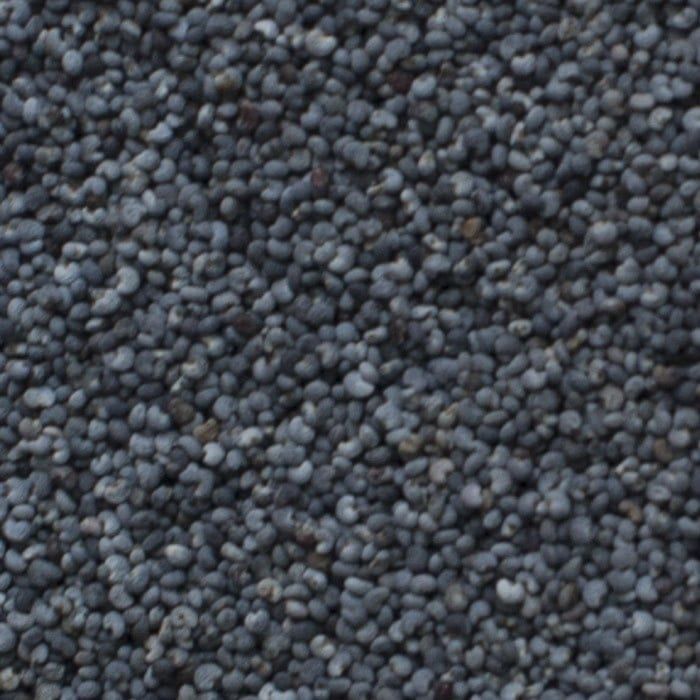 Maanzaad blauw heel, Maat: Standaard