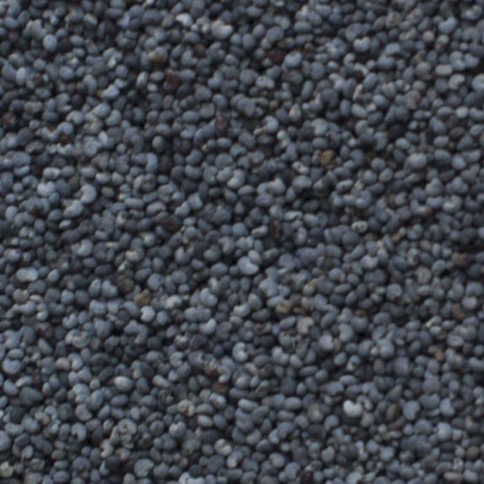 Maanzaad blauw heel, Maat: 100 gram
