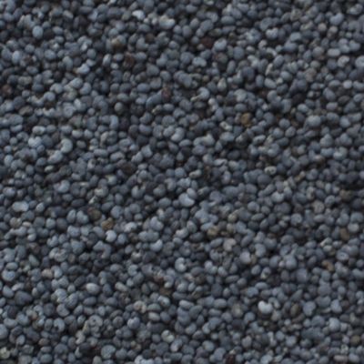 Maanzaad blauw heel