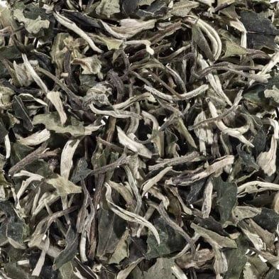 Pai Mu Dan Superiour Silver Witte Thee, Maat: 100 g