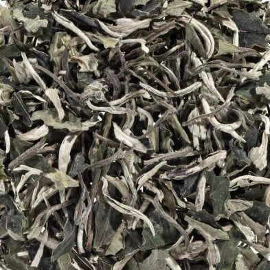 Pai Mu Dan Superiour Silver Witte Thee, Maat: 100 gram