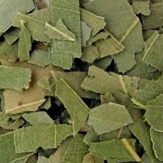 Eucalyptusblad, Maat: Standaard