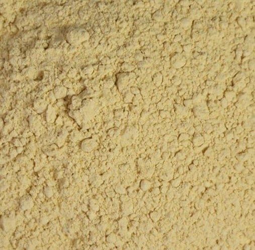 Engelwortel of Grote Engelwortel poeder, Maat: Standaard