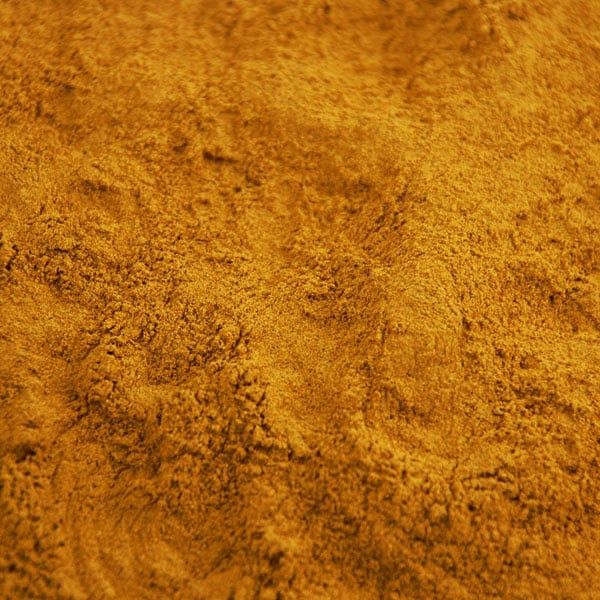 Rabarberwortel of Chinese/Russische rabarber poeder, Maat: Standaard