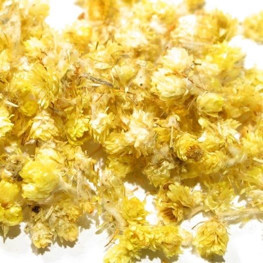 Moerasspirea bloemen, Maat: Standaard