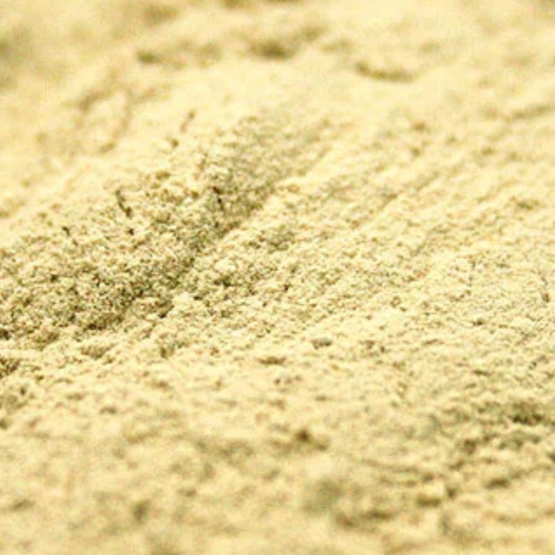 Aloë Vera blad poeder, Maat: 100 gram
