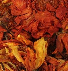 Afrikaantjes heel, Maat: 50 gram