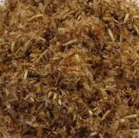 Dennentoppen, Maat: Standaard