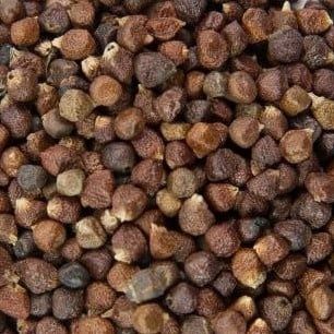 Paradijszaad of Maniquette peper, Maat: Standaard