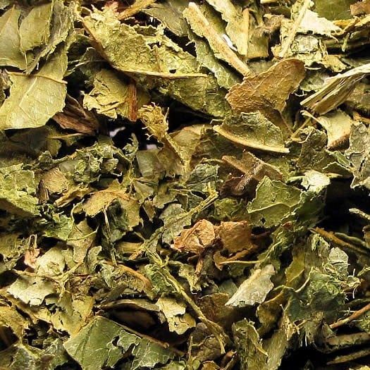 Oranjeblad, Maat: Standaard