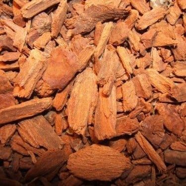 Kinabast, Maat: Standaard