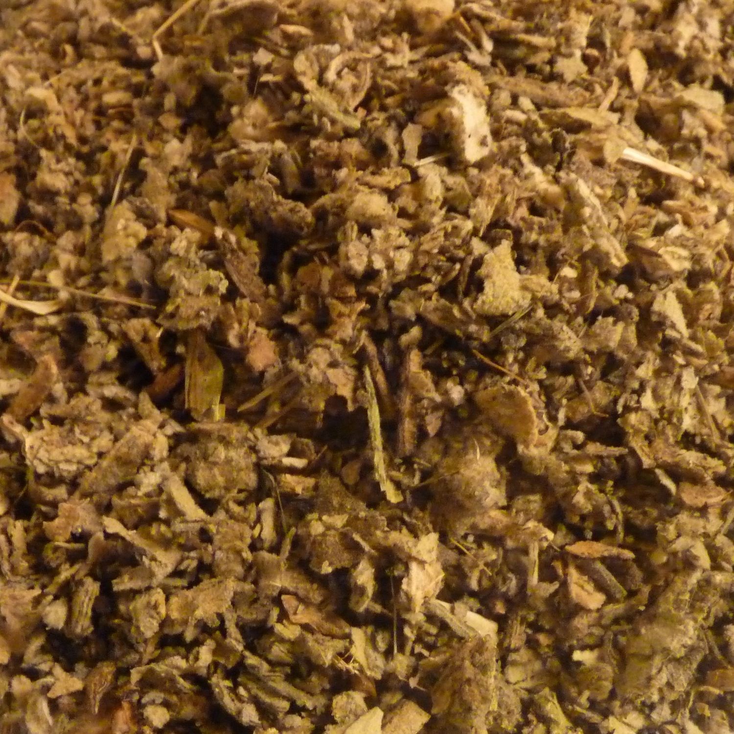 Toorts, Maat: Standaard