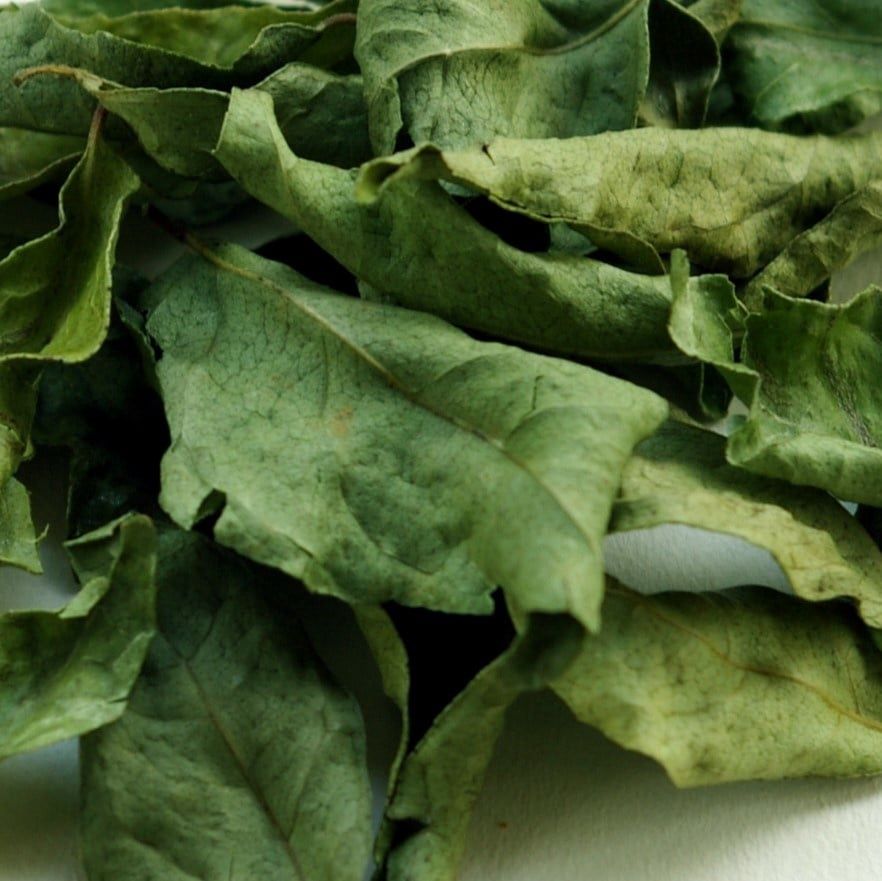 Kerrieblad of Curryblad, Maat: Standaard