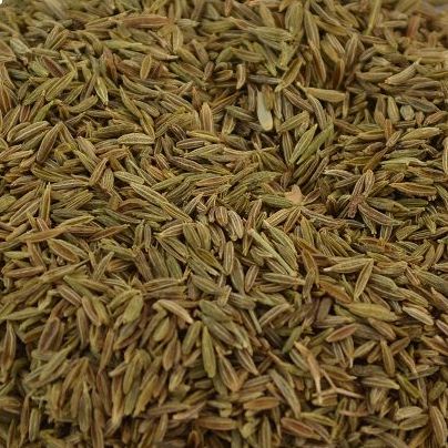 Komijnzaad of Djinten heel, Maat: Standaard