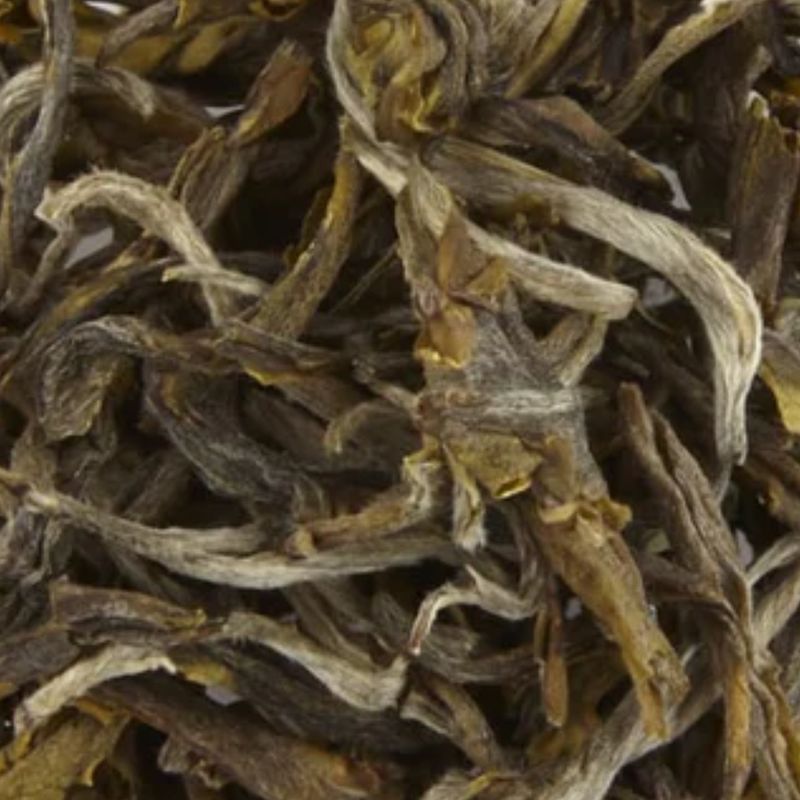 Yunnan Wu Ling Mountain Bio