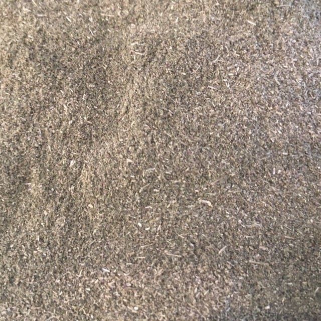 Echinacea Purpurea Kruid of Rode Zonnehoed Gemalen, Maat: Standaard