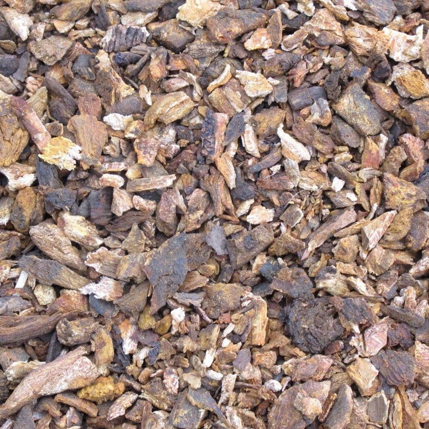 Rabarberwortel of Chinese/Russische rabarber, Maat: Standaard