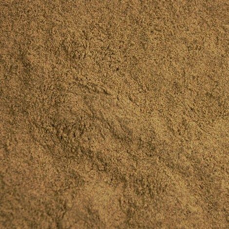 Zuurbes of Berberis worteast poeder, Maat: Standaard