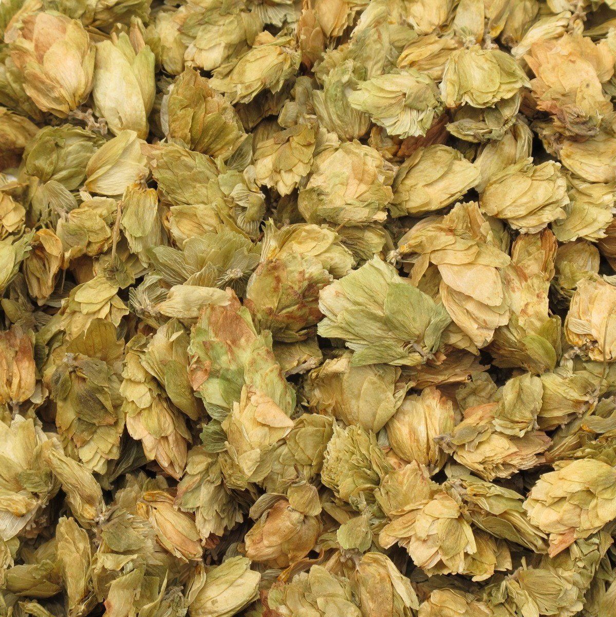 Hopbel, Maat: 50 gram
