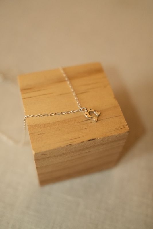 Horseshoe Charm Necklace