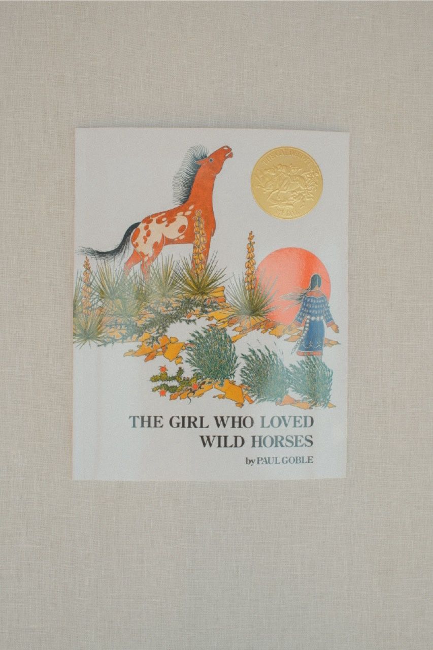 Girl Who Loved Wild Horses