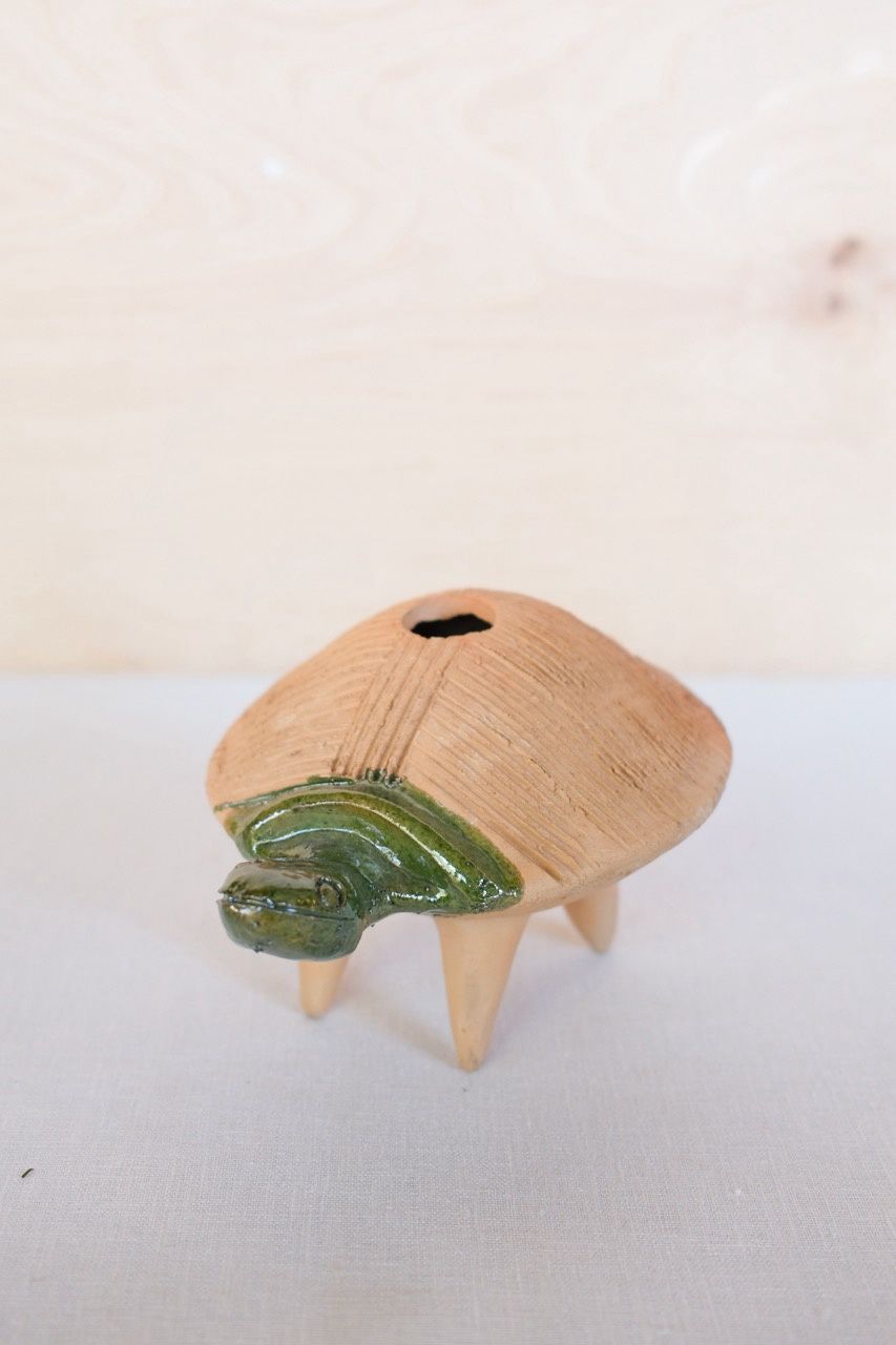Mexican Folk Art Chia Pets, Animal: Turtle