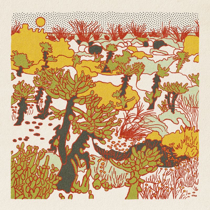 Desert Mountain Print #10