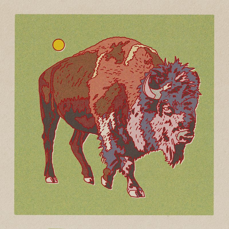 Desert Animals Postcard Pack