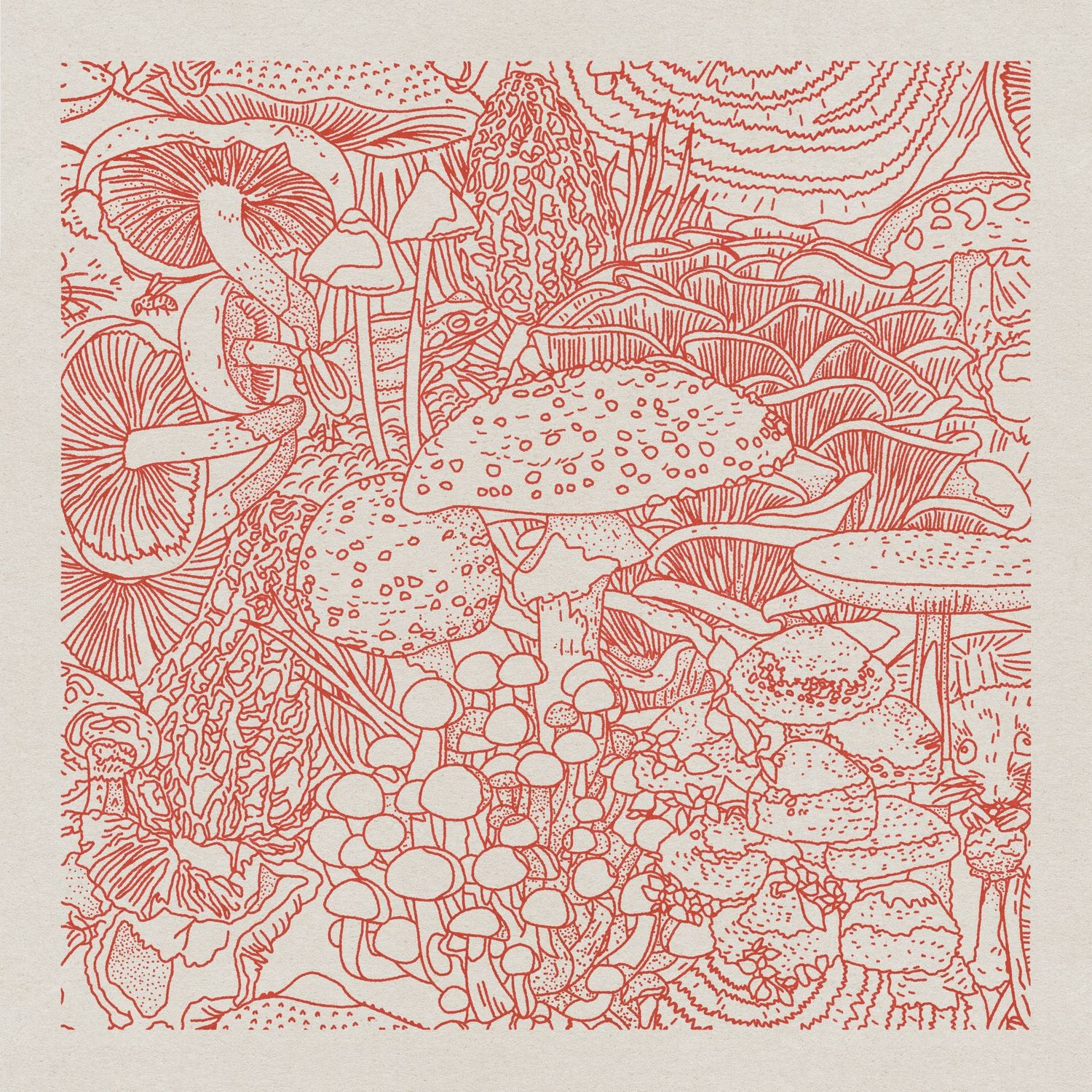 Mushroom Planet #5