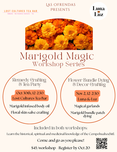 Marigold Magic Workshop