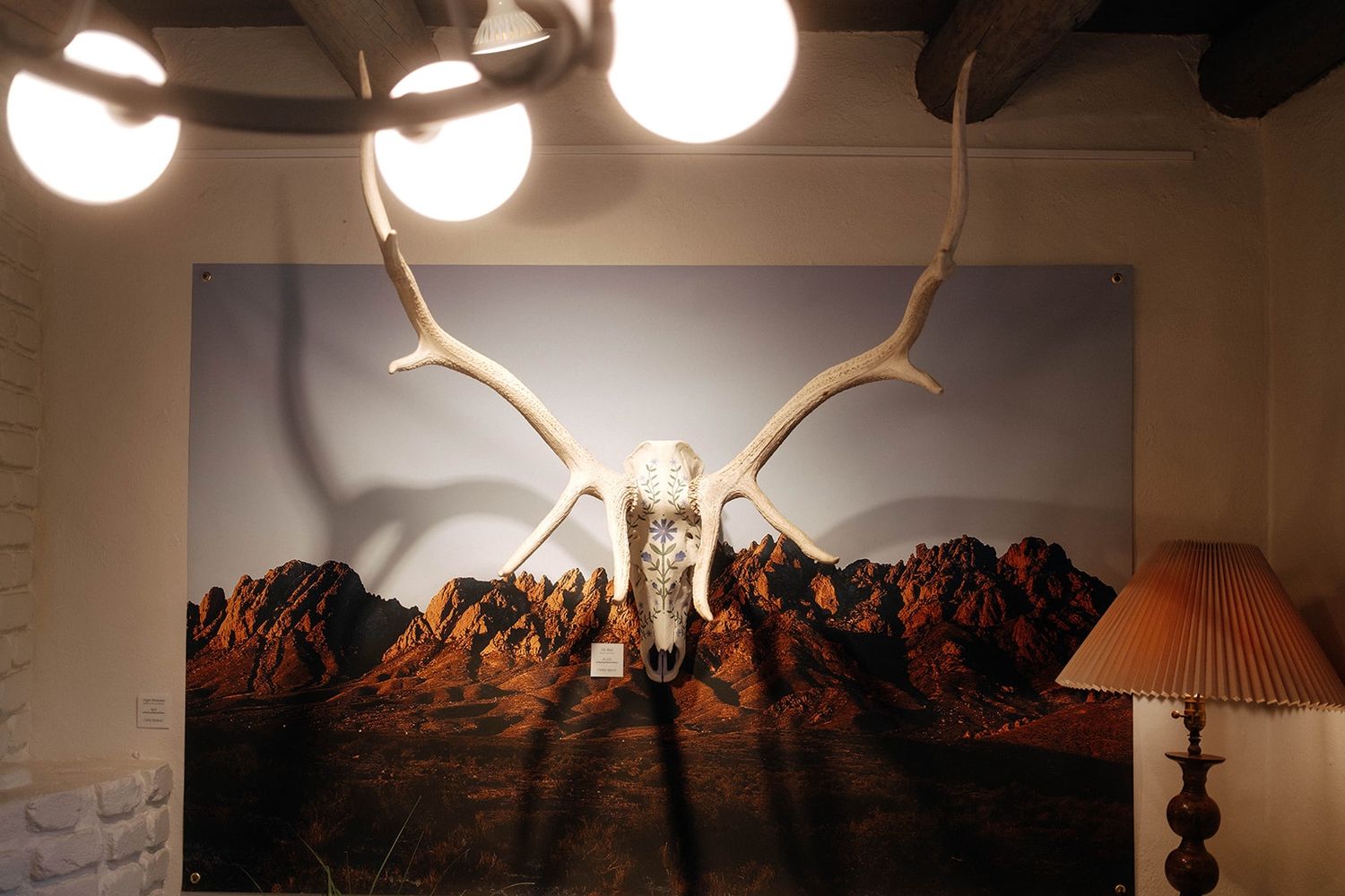 Elk Skull