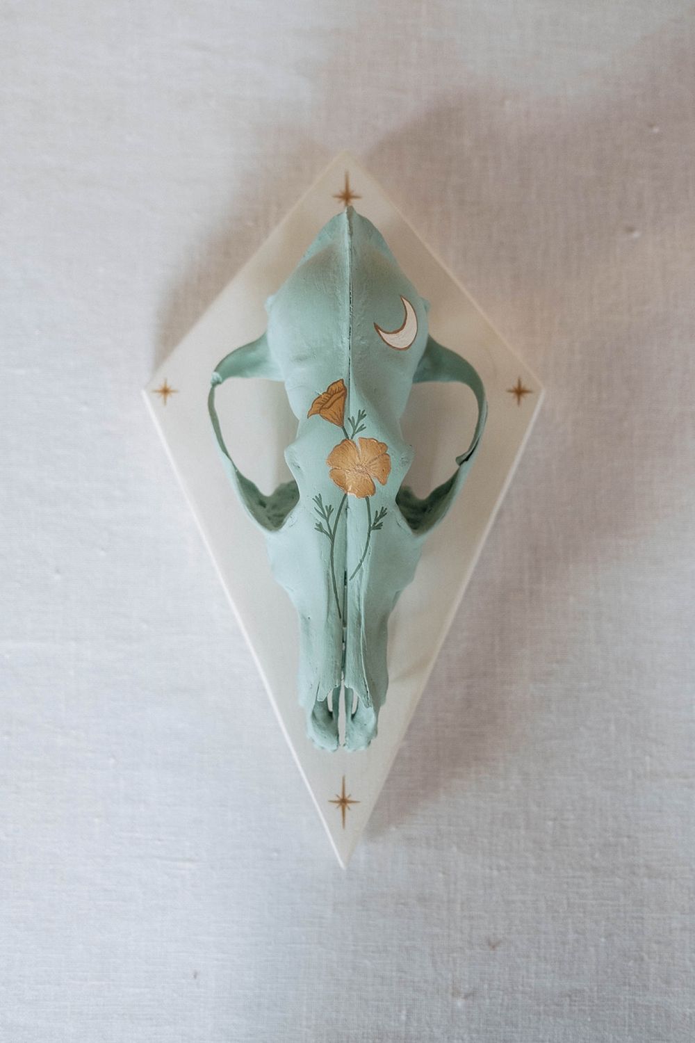Luna Poppy Coyote Skull