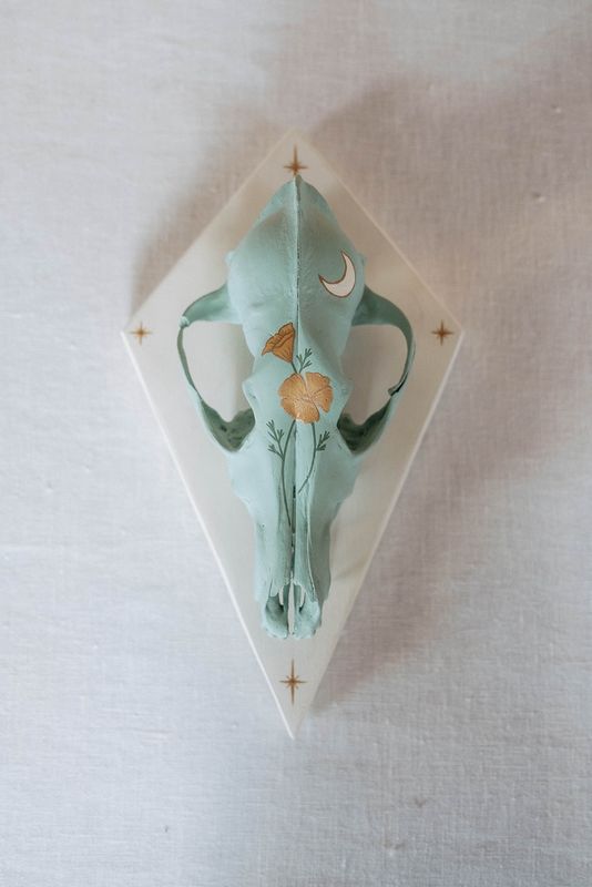 Luna Poppy Coyote Skull
