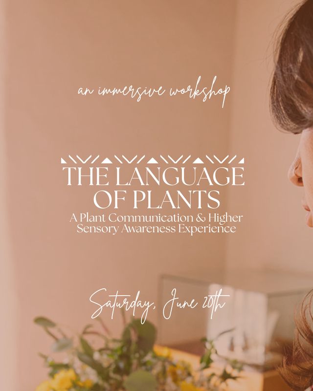 The Language of Plants; A Plant Communication &amp; Higher Sensory Awareness Experience